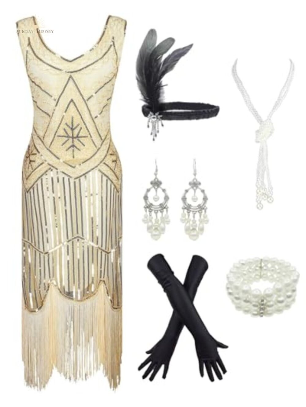 1920s Gatsby Sequin Fringed Paisley Flapper Dress with 20s Accessories Set